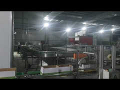 カートンシール機 ロボットパレティ化機