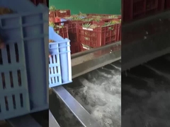 バブル型果物/野菜洗濯機,生産能力はカスタマイズできます