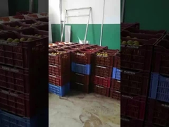 果物野菜ジュース製造ライン